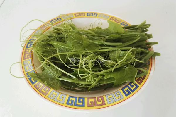 南瓜尖素汤的做法图解1