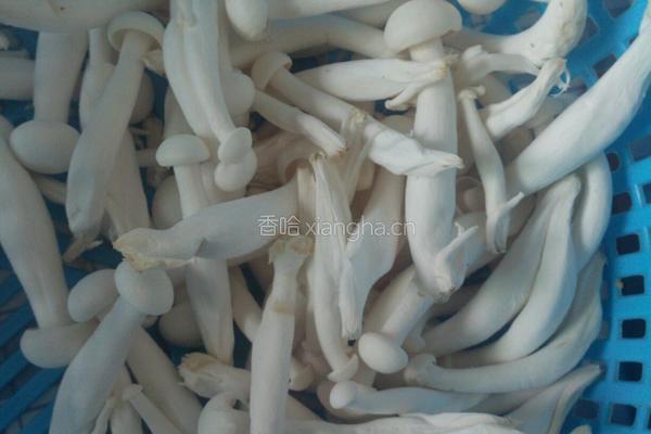 白玉溜肉的做法图解5