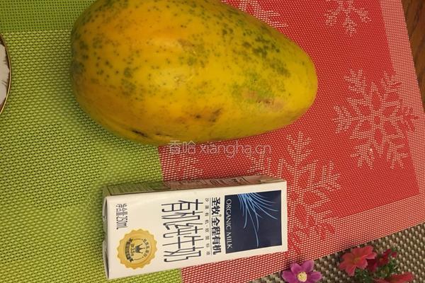 木瓜牛奶炖燕窝的做法图解12