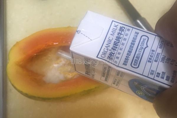 木瓜牛奶炖燕窝的做法图解16