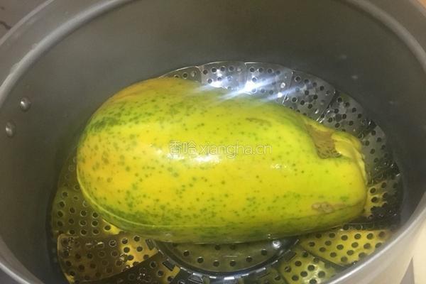 木瓜牛奶炖燕窝的做法图解17