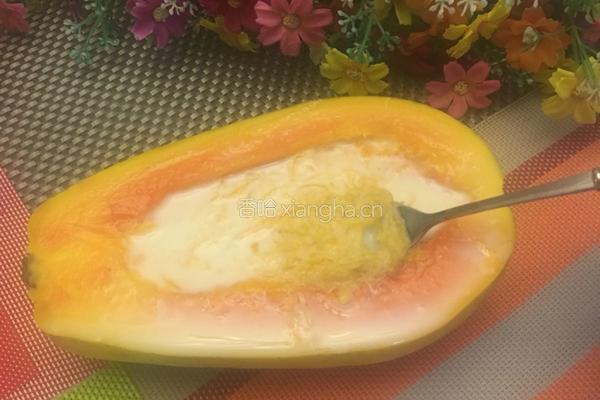 木瓜牛奶炖燕窝的做法图解20