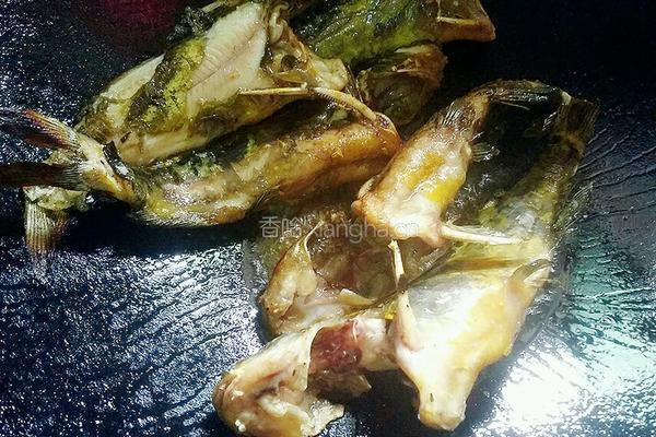 黄骨鱼番茄汤的做法图解4