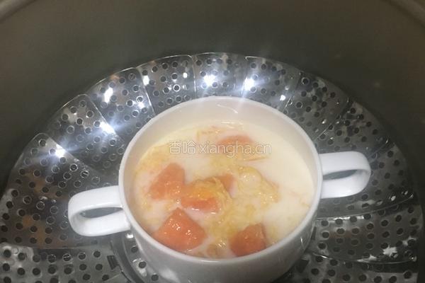 燕窝木瓜炖牛奶的做法图解14