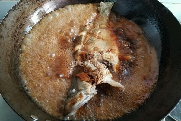 糖醋鳜鱼(桂鱼)的做法图解6