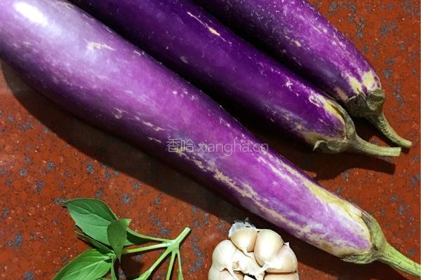 蒜烧茄子的做法图解1