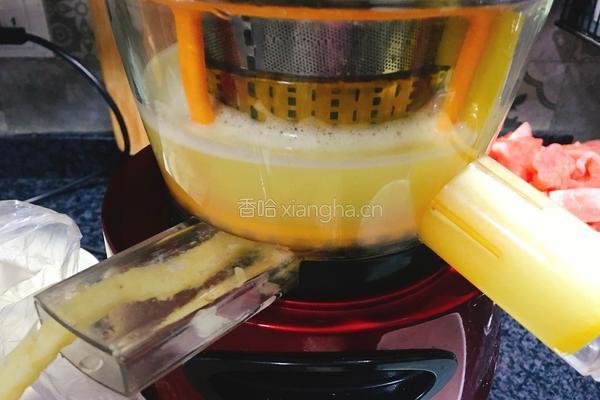 苹果西瓜汁的做法图解8