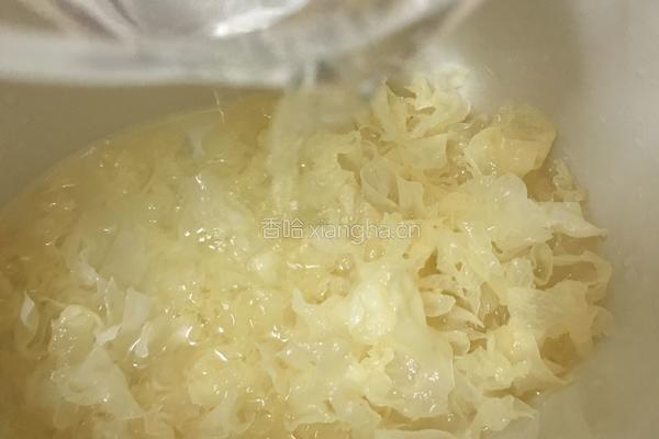 木瓜牛奶炖银耳的做法图解3