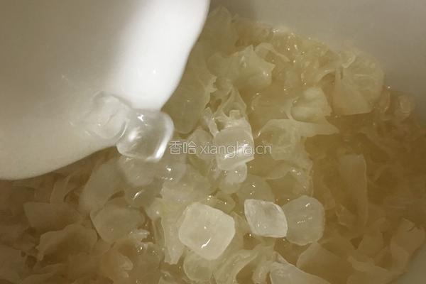 木瓜牛奶炖银耳的做法图解8