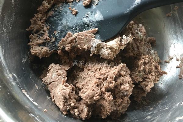 葡萄干巧克力曲奇的做法图解7
