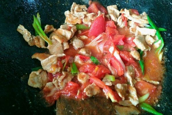 番茄炒猪肉的做法图解6