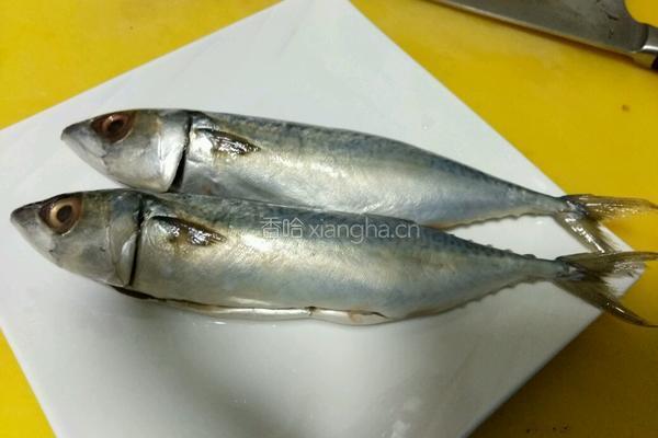 鲅鱼炖土豆的做法图解1