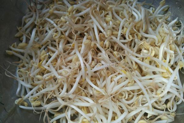 绿豆芽拌干豆腐的做法图解1