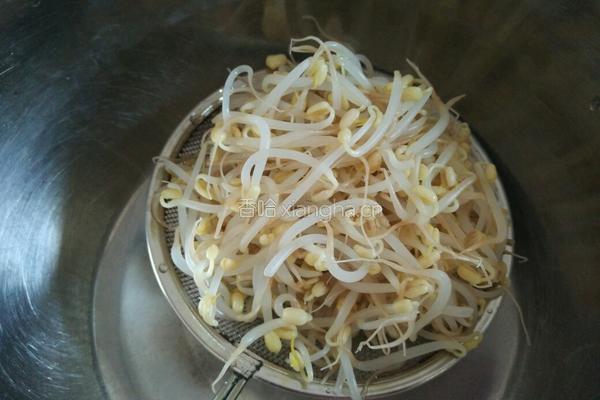 绿豆芽拌干豆腐的做法图解3