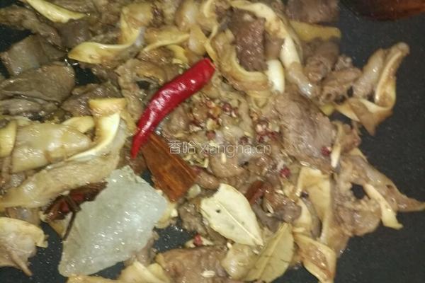 清炖白萝卜牛腩汤的做法图解9