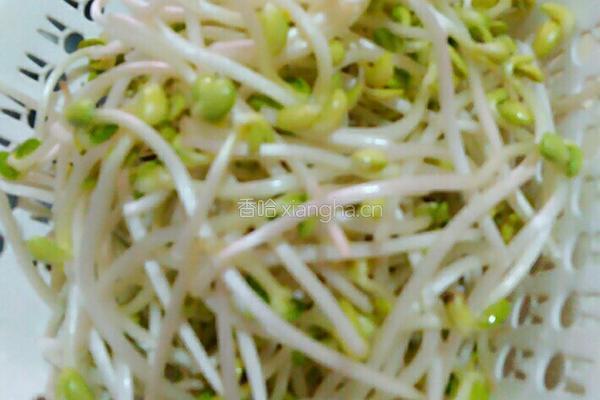 猪肉炒豆芽的做法图解2