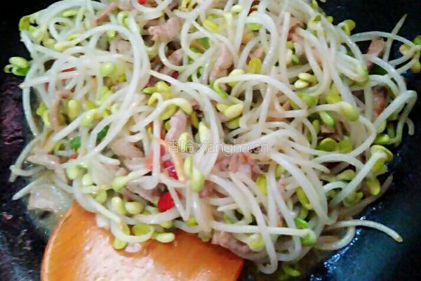 猪肉炒豆芽的做法图解10