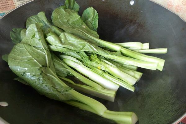 清炒青菜的做法图解4