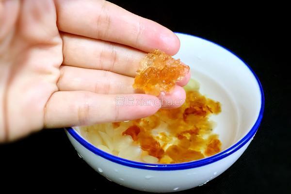 桃胶皂角米炖银耳的做法图解2