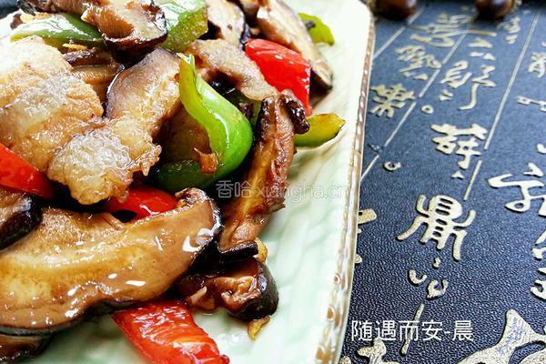 小炒鲜香菇的做法图解11