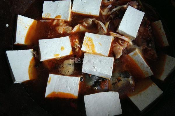 鲢鱼头炖豆腐的做法图解9