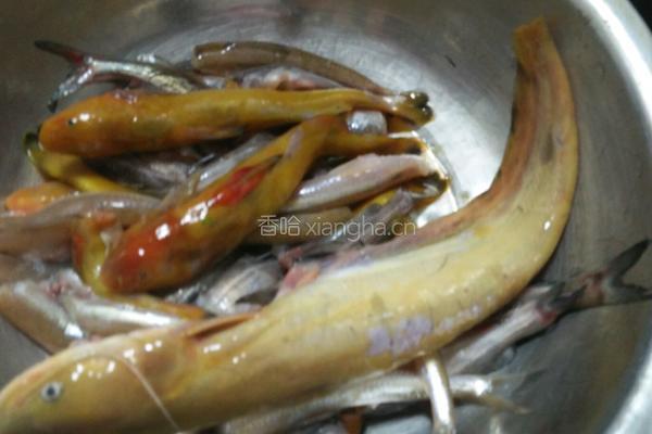 酱焖嘎鱼的做法图解1