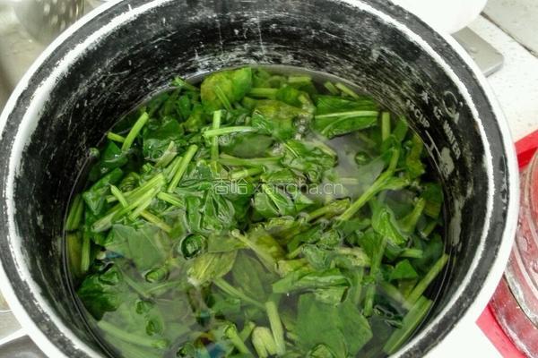 枸杞拌菠菜的做法图解4