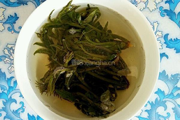 香椿头花生米的做法图解3