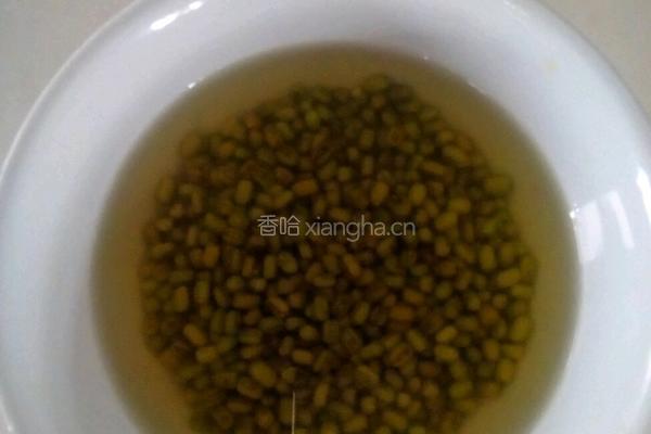 发豆芽的做法图解1