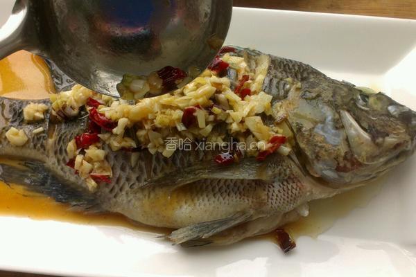 蒜香鲫花鱼的做法图解8