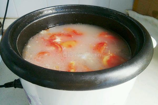 番茄炖排骨汤的做法图解6
