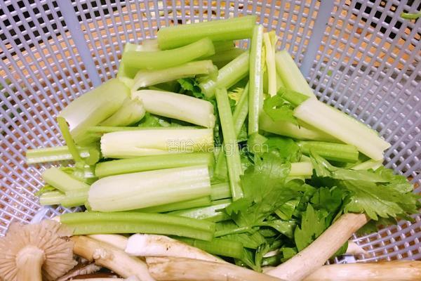 茶树菇干锅鸡的做法图解4