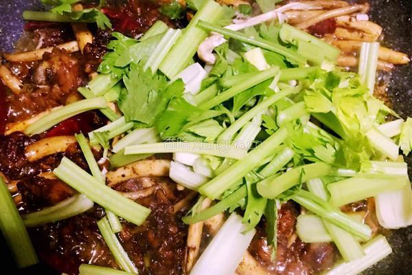 茶树菇干锅鸡的做法图解12