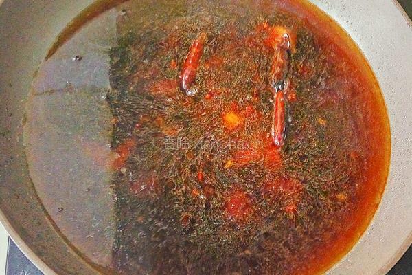 胡萝卜炖牛腩的做法图解9