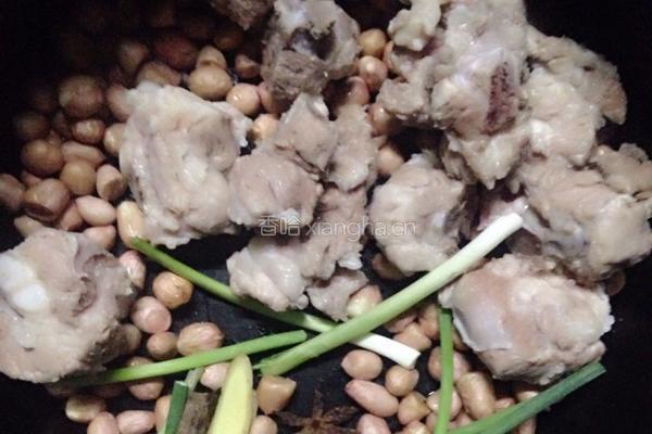 花生炖排骨的做法图解5