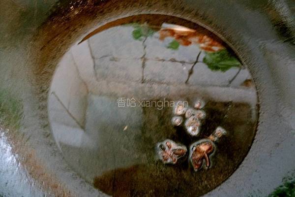 带鱼扒白菜的做法图解6