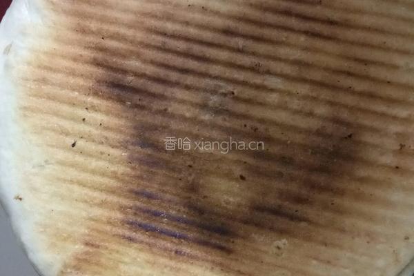 家常大饼的做法图解3