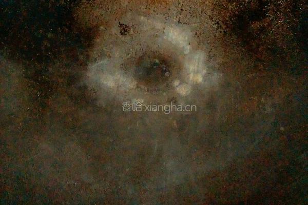 炒意粉的做法图解6