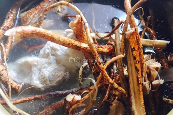 五指毛桃汤的做法图解4