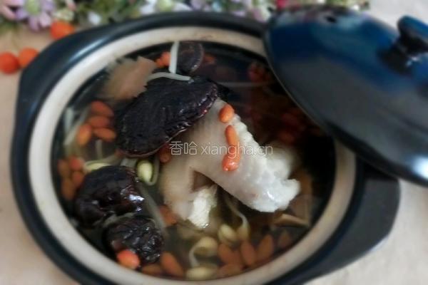 药材鸡的做法图解6