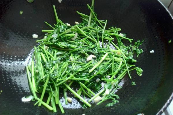 素炒香菜的做法图解5