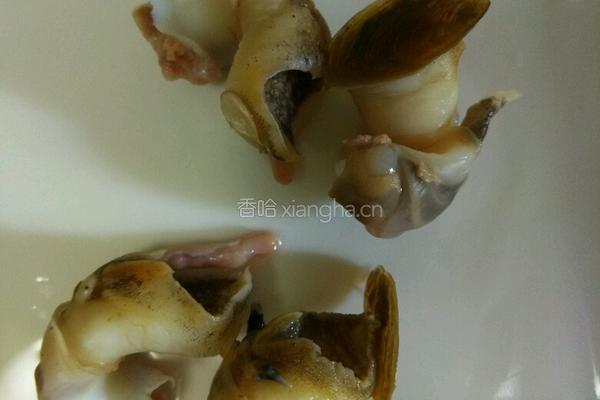 凉拌海螺的做法图解4