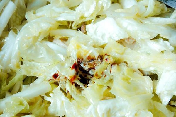 猪肉白菜炖粉条的做法图解8