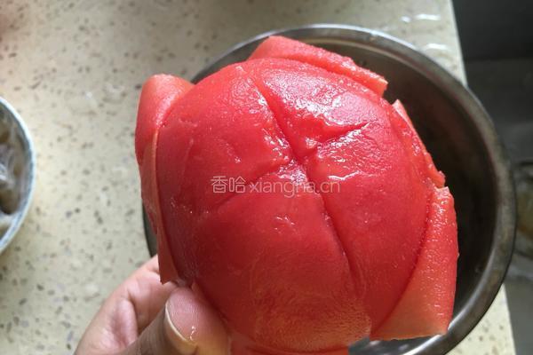 猫耳朵面的做法图解3