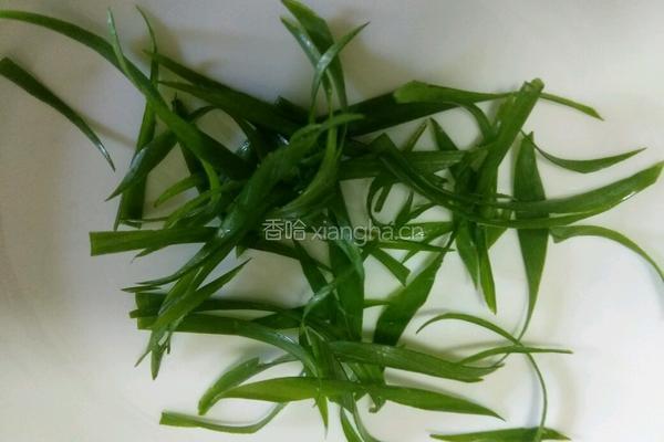 响油海螺的做法图解2