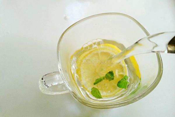 柠檬薄荷茶的做法图解4