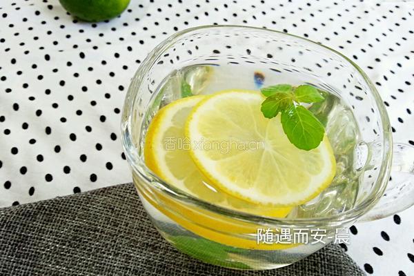 柠檬薄荷茶的做法图解6