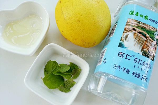 柠檬薄荷苏打水的做法图解1