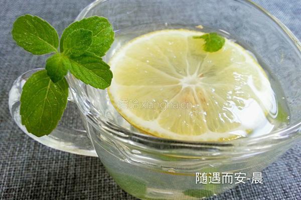 柠檬薄荷苏打水的做法图解7