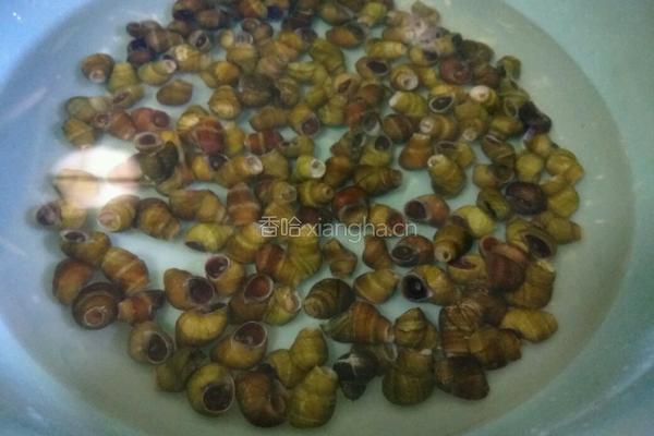 紫苏豉酱炒石螺的做法图解1